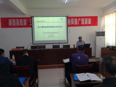 鄖西縣舉辦2019年蔬菜“三減三增”健康栽培技術(shù)協(xié)同推廣培訓(xùn)班 新材料技術(shù)助力綠色農(nóng)業(yè)發(fā)展