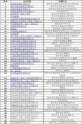 2009年中國軟件服務(wù)外包企業(yè)競(jìng)爭(zhēng)力排名與分析